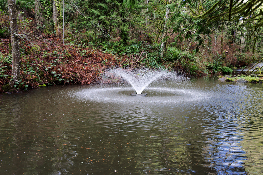 What is Pond Aeration and How Can It Benefit Your Pond Ecosystem