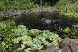 busting-myths-about-pond-aeration-waterline-houston-tx