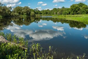 pond-chemicals-is-there-beneficial-bacteria-waterline